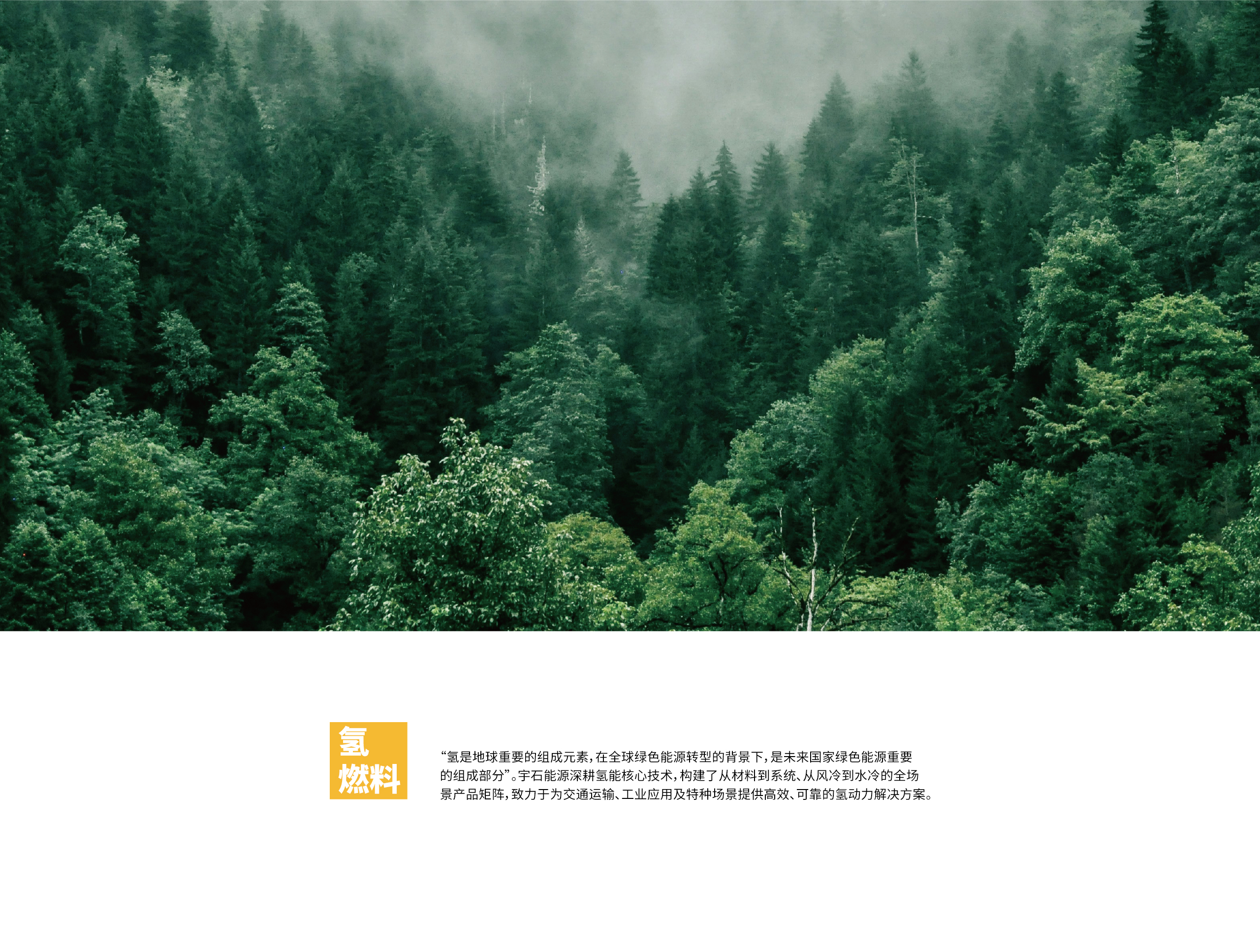 氢能导读_03.jpg